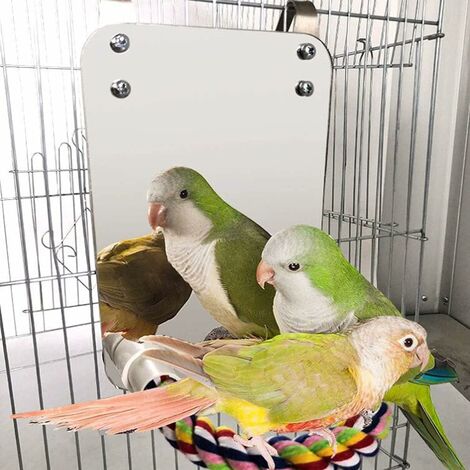 Rope perches for outlet parrots