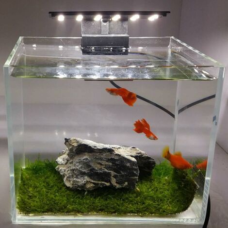 Thin best sale fish tank