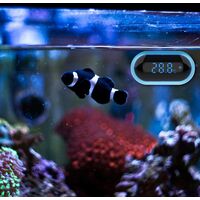 Aquarium Thermometer,Digital Aquarium Water Thermometer,LED Display Thermometer for Aquarium,Terrarium and Vivarium