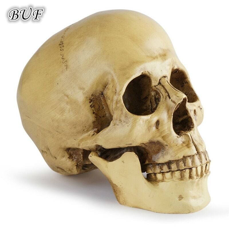 Fuienko 1:1 modelo de cráneo médico enseñanza bosquejo cráneo humano artesanía de resina decoración del hogar estatua escultura regalo de Halloween
