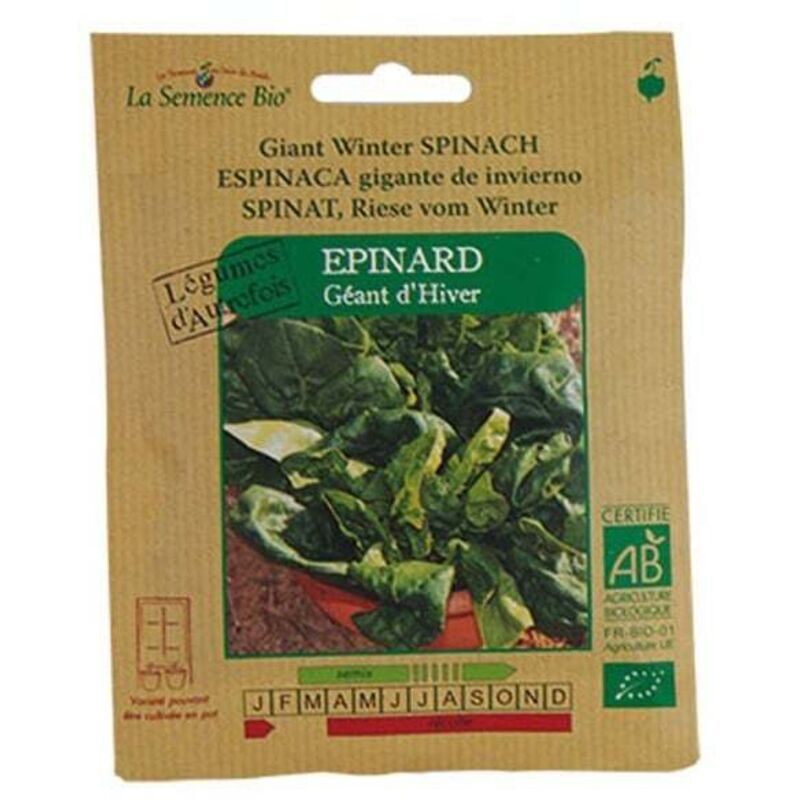 Épinard géant d'hiver graine semence bio, vente au meilleur prix Épinard géant d'hiver graine semence bio, vente au meilleur prix