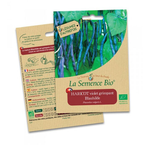 Tabac Blond De Virginie - 1000 Graines AB - La Ferme Sainte Marthe - Foto 9