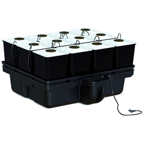 Platinium Hydroponics DWC Cloner 30 Boutures - Système Aéroponique 40x34x18cm 10L, Oxygénation Maximale