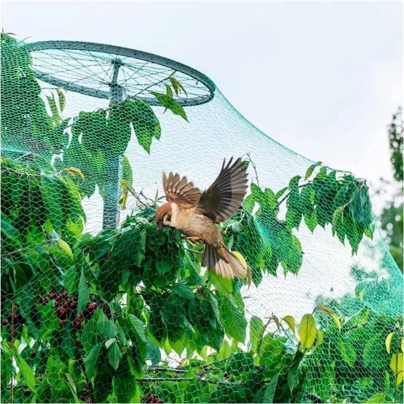 Filets De Protection Pour Plantes - Lot De 4 - 1m X 1.5m Chacun - Maille Fine Anti-insectes Et Oiseaux - Avec Cordon De Serrage - Pour Potager, Serre, Verger