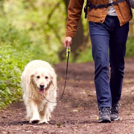 Laisse pour Chien Rétractable 5 mètres avec Poignée Confortable, Laisse Flexible pour Petit, Moyenne, Gros Chiens, Laisse Enrouleur pour la Promenade et Le Dressage, Jaune