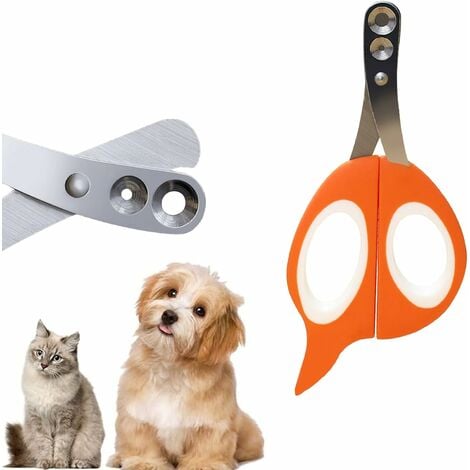 Ciseaux professionnels pour coupe-ongles pour animaux de compagnie, chien,  chat, ongles, griffes, lampe à LED