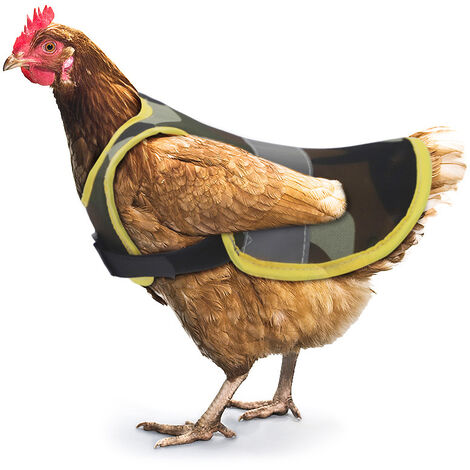 TUKEVA 2 Pcs Selle De Poulet Tablier De Selle De Poulet Poule Gilet Pour Poules Respirant Tablier De Poulet Avec Sangles élastiques Pour Poule,Canards Oies Petits Animaux De Compagnie(Rouge,Vert