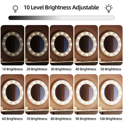 Natseekgo Lumière de Miroir, 12 Ampoules Hollywood Kit de Lumière LED  Dimmable Lampe pour Miroir Cosmétique Salle de Bain 3 Couleurs 10 Niveaux  de Luminosité avec Adaptateur (Miroir Non Inclus) : 
