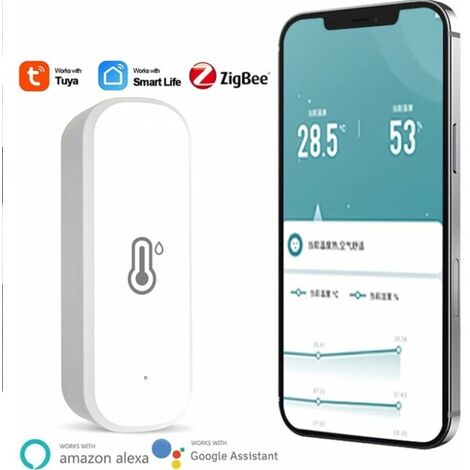 Thermomètre et hygromètre WiFi intelligent, capteur numérique d'humidité et  de température pour pièce intérieure avec alerte de notification APP