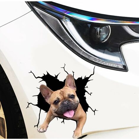 Autocollants De Voiture Auto Protecteur Intérieur ... – Grandado