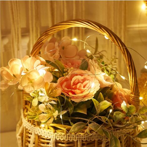 CPSARKV Guirlande Cuivre 3M - Guirlande Lumineuse 30 Leds - Guirlande Leds pour deco chambre, déco de Noël, ambiance poétique et romantique