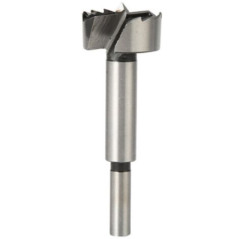 Mèche Plate Bosch Self Cut 10x152mm - Pointe Centrage Double Pour Bois Et Matériaux Légers