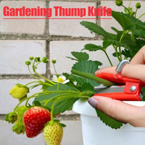 Lalago 2 Ensembles Coupeur De Pouce, Silicone Couteau À Pouce, Séparateur Coupe Pouce Avec Protège-Doigts En Silicone, Couteau Cueillette Fruits, Jardinage Outillage Pour La RéColte De LéGumes