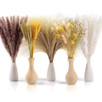 Pampa Séchées Décoration, 6pcs Herbe De La Pampa 100cm Naturelle Fleurs Séchées Beige Boho Bouquet Pour Mariage Intérieure Décor (6pcs