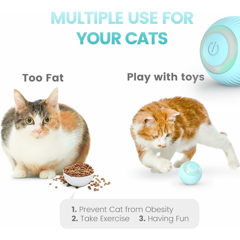 LTS FAFA Jouet interactif pour chat balle et son petit jouet pour