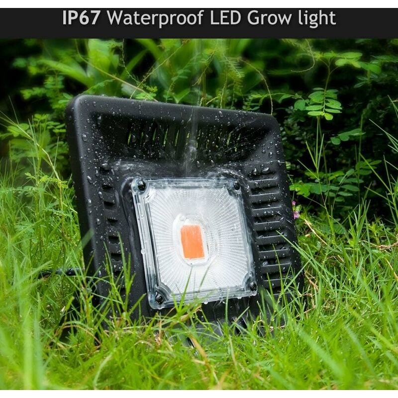 Spot horticole LED 50W à suspendre pour mur végétal