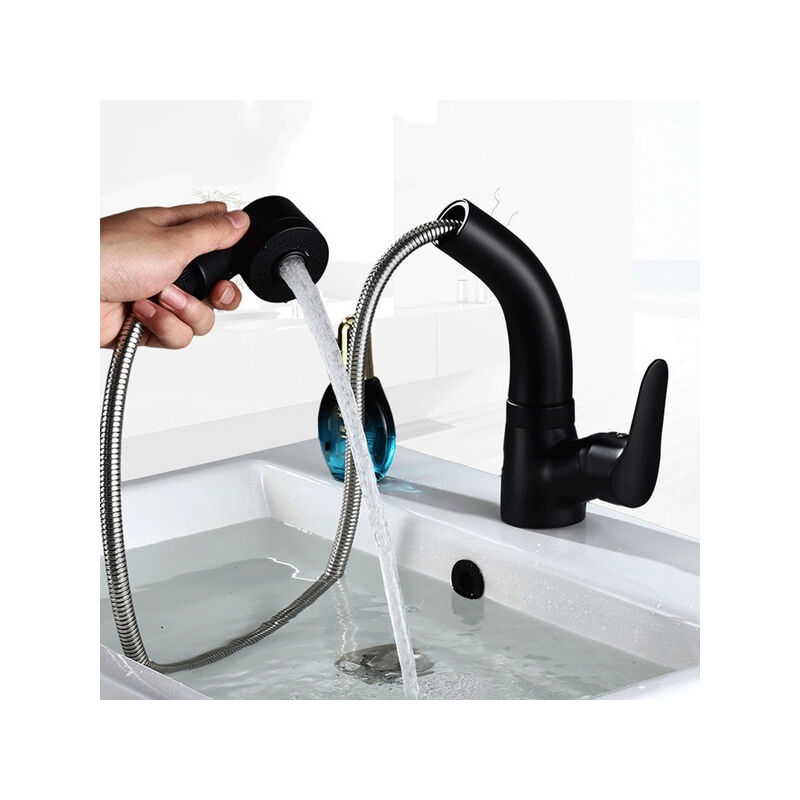 LTS FAFA 1 pièce tuyau rétractable rétractable et robinet coulissant douche  pivotante et pulvérisateur modèle robinet d'évier de cuisine noir