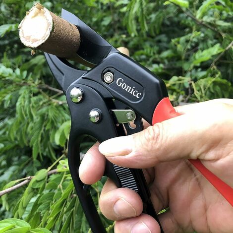 Sécateur à crémaillère garantie à vie - Boutique du jardin