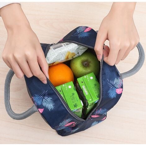 Sac Isotherme Repas Portable Lunch Bag Sac à déjeuner Fraîcheur Sac à  déjeuner réutilisable à Déjeuner Waterproof pour Femme, Homme, École et  Bureau (Bleu Foncé) 