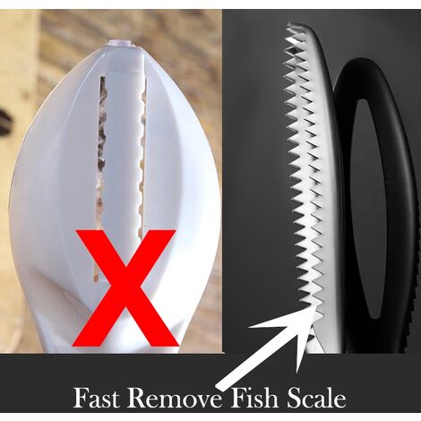 5pcs Fish Scaler Remover Set Outils d'écailles de poisson avec