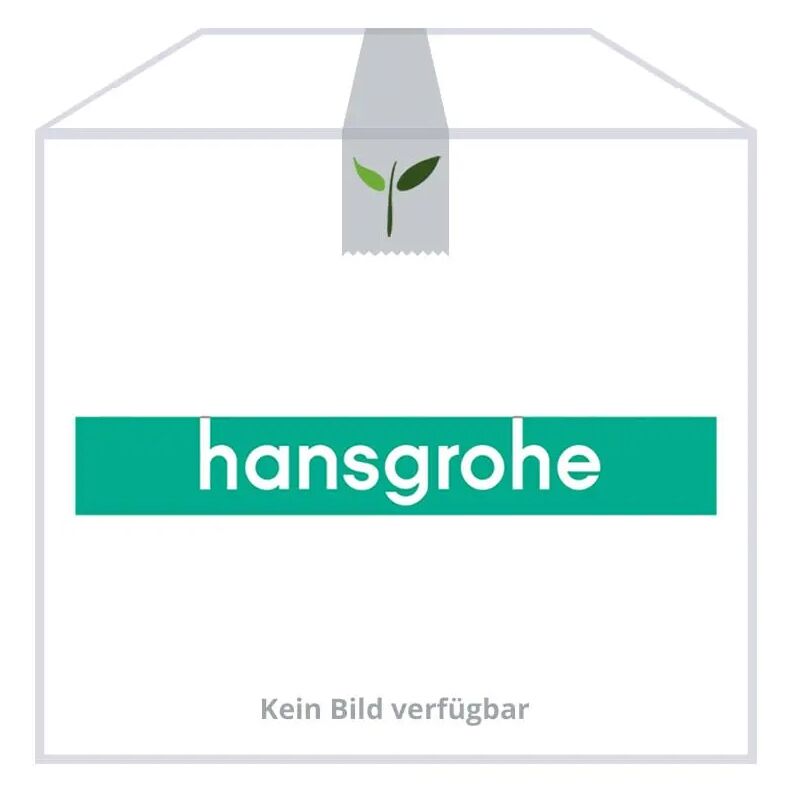 Hansgrohe Uno Piccolo Bügelgriff WTM 38094000 verchromt UI様専用