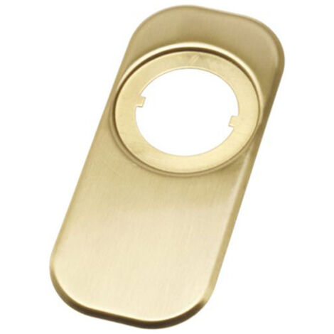 AMIG EMBELLECEDOR ESCUDO POMO LATON MATE 10