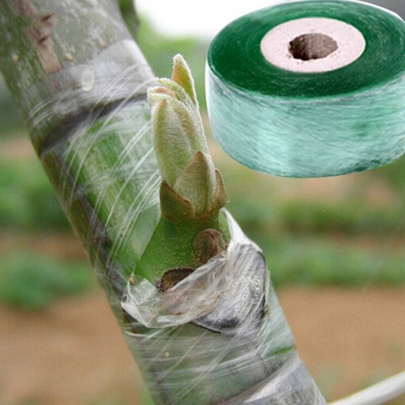 Ruban Greffage Parafilm DaDago - 2x100m - Pour Jardinage, Arbres Fruitiers - Étirable, Auto-Adhésif, Biodégradable