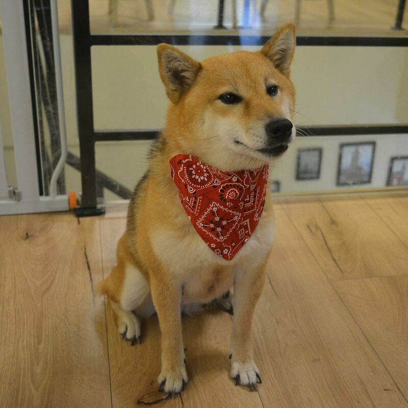 Bandanas Triangulaires Pour Animaux De Compagnie - Motif