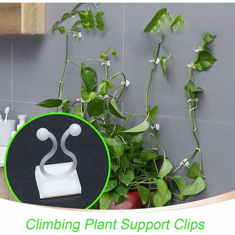 100 Clips Auto-adhésifs Pour Plantes Grimpantes - Vert, Support Mural, Fixation Facile