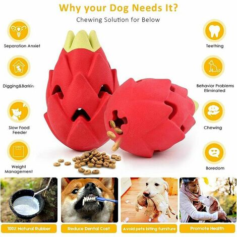 Lot De 2 Jouets à Mâcher Pour Chien - Os Durable Avec Corde, Pour Races Moyennes Et Grandes