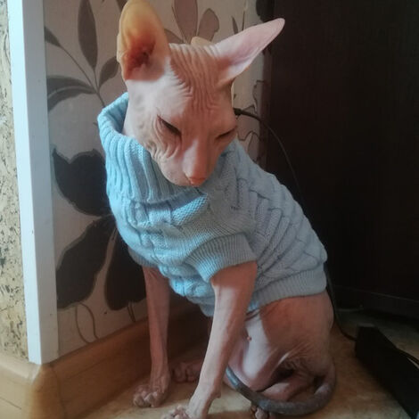 Chien pull chien vêtements polaire chien laine pull hiver chaud sweat chemise fleur pyjamas polaire chandails(L)