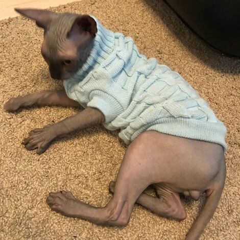 Chien pull chien vêtements polaire chien laine pull hiver chaud sweat chemise fleur pyjamas polaire chandails(L)