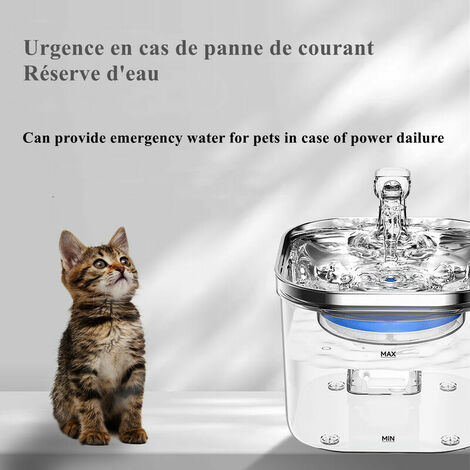 Distributeur Automatique Croquettes Et Eau Pour Chats/chiens - Sans électricité, 3.8L, Antidérapant, Pour Absences Courtes - 10