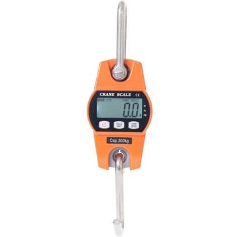 Balance Crochet Suspendu 300kg - Peson Electronique LCD Industriel 300kg/600lbs (1/5)