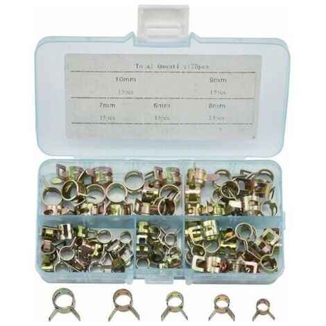 Lot 100 Collier De Serrage à Oreille Inox 304 - Pinces Ressort Tuyau Essence Durable 5.3-15.3 Mm + Boîte De Rangement