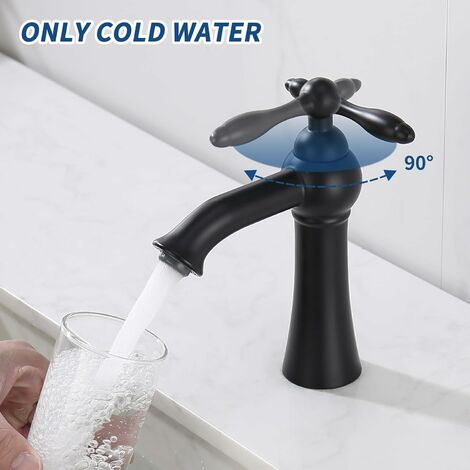 Robinet Lavabo Eau Froide Tondiy - Mitigeur Brossé Pour WC - Cartouche Céramique