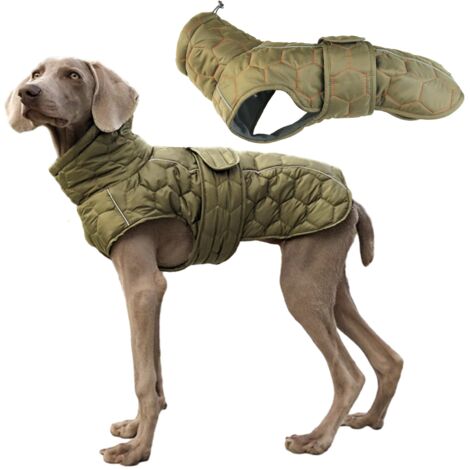 Veste d'hiver pour chien, veste 2 en 1 pour temps froid, veste d'hiver pour chien avec bandes réfléchissantes de sécurité et harnais réglable (taille M) (1/5)