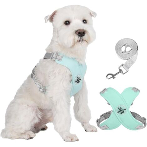 Harnais de poitrine pour chien, design en forme de X, couleur verte, tour de poitrine : 48-60 cm, tour de cou : 40-52 cm. (1/5)