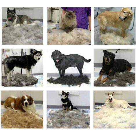 Peigne anti-étouffement pour animaux de compagnie, brosse pour chevaux, chats, chiens de taille moyenne et grande avec poils courts à longs-Ensoleillé