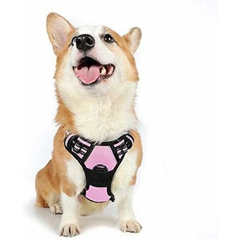 Harnais Chien M Arnais Rose Anti Traction Réfléchissant Gilet Réglable pour Chien, Attache Devant Crochet de Laisse pour Randonnée Trajet Voiture, Bouledogue Français, Berger Australien-Ensoleillé (1/5)