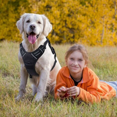 Harnais Chien Réglable Gilet Chien avec Poignée Contrôle Harnais Réfléchissant Matériau Respirante Durable Couleur Noir Taille XL-Ensoleillé