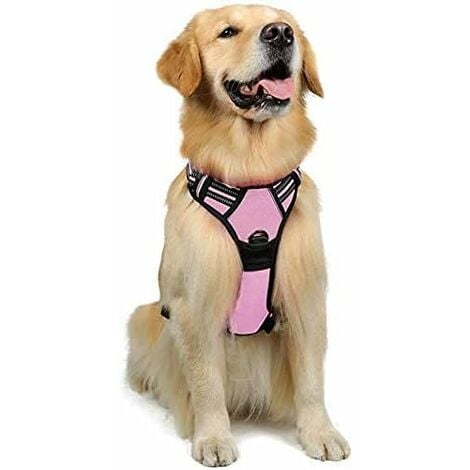 Harnais Chien L Arnais Rose Anti Traction Réfléchissant Gilet Réglable pour Chien Grand Taille, Attache Devant Crochet de Laisse pour Randonnée Trajet Voiture, American Staff, Border Collie-Ensoleillé