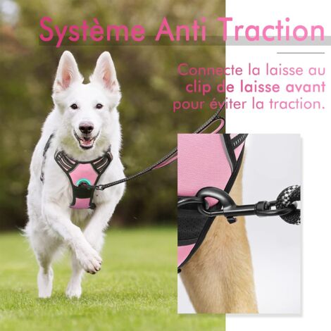 Harnais Chien L Arnais Rose Anti Traction Réfléchissant Gilet Réglable pour Chien Grand Taille, Attache Devant Crochet de Laisse pour Randonnée Trajet Voiture, American Staff, Border Collie-Ensoleillé