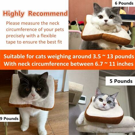 Collier de récupération pour chat Elizabeth Circle