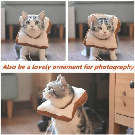 Collier de récupération pour chat Elizabeth Circle