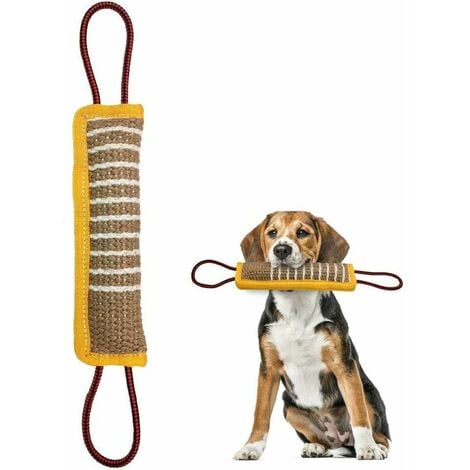 Jouets Pour Chiens À Mâcher 4 Pièces Bouton Parlant Boutons