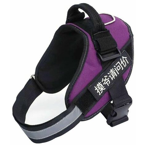 3 Ensembles Laisse Pour Animaux De Compagnie Laisse Et Harnais Pour