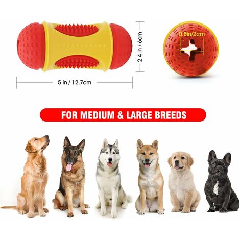 Jouet interactif pour chien Distributeur de friandises Jouet pour