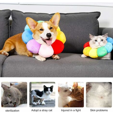 Lot De 2 Supports En Silicone Pour Collier De Chien Tile Pro (2024