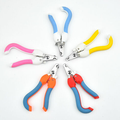 Porte-clés En Acier Inoxydable Griffe/Patte De Chat/Chien - Design Solide Et Durable